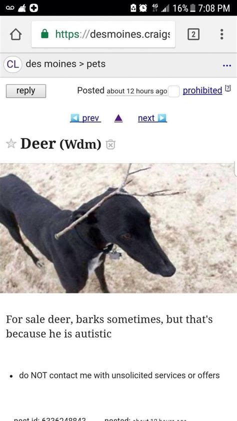 STOP WASTING TIME AT DEALERS WITH THEIR BAIT AND SWITCH SALES TACTICS. . Craigslist deer park